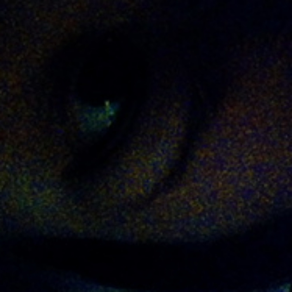 Meet your Posher, Yvette